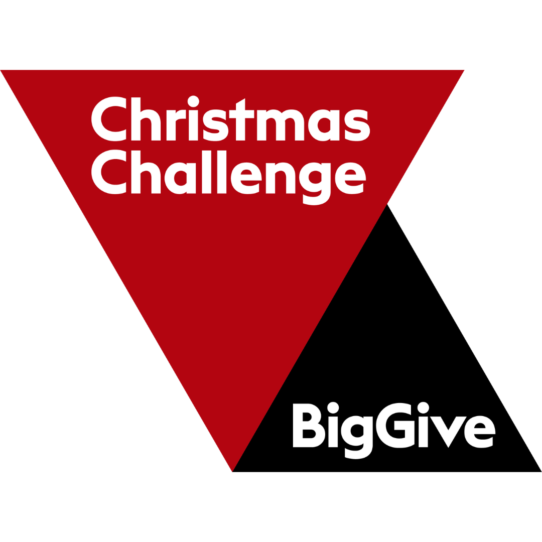 The Big Give  Christmas Challenge logo 