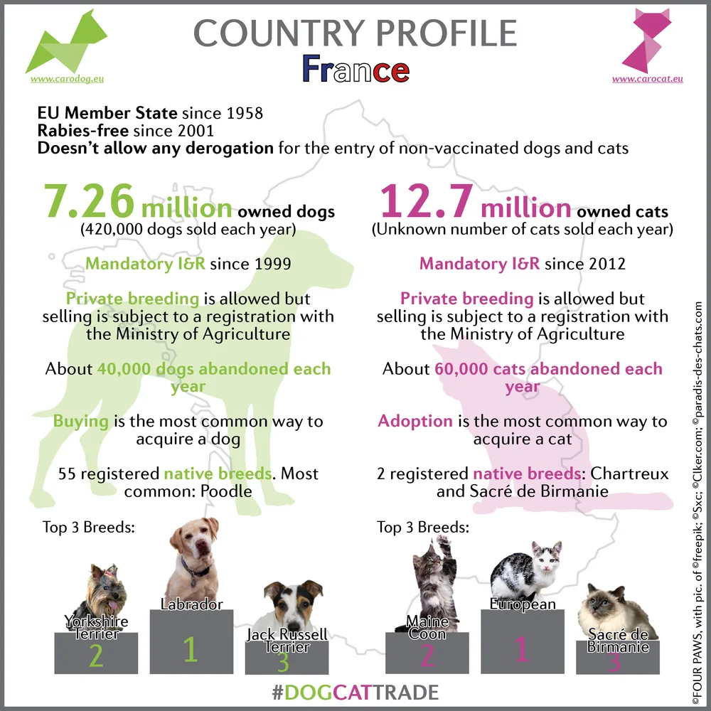 Which Resposible for Many Breeds of Domestic Cat And Dogs: Surprising Origins Revealed
