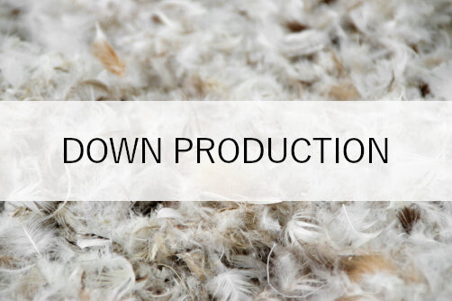 TO-AW-Challenge Animal Fiber Production-Down.jpeg