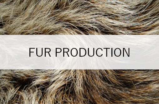 TO-AW-Challenge - Animal Fiber Production - Fur.jpeg
