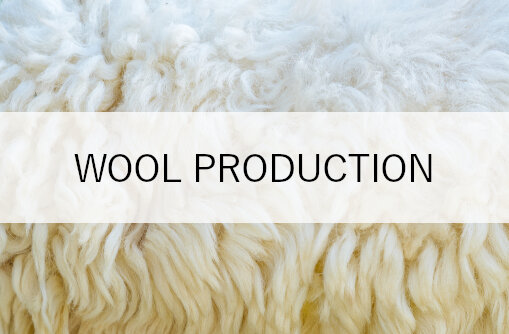 TO-AW-Challenge-Animal Fiber Production-Wool.jpeg