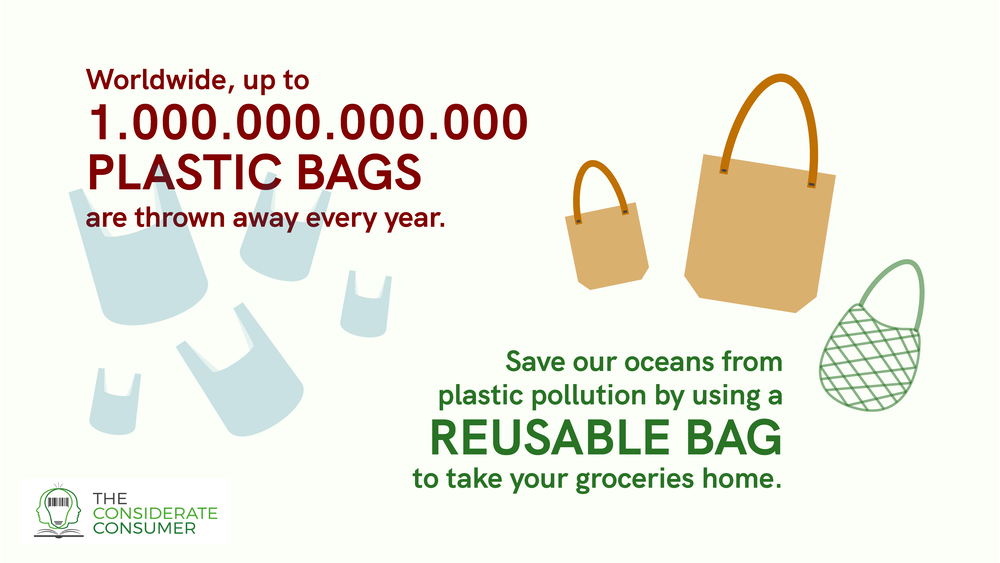 Plastic Bags vs Reusable Bags Which is Best?
