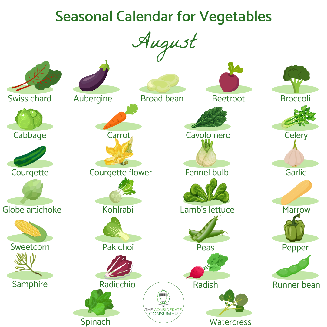Seasonal calendar  for vegetables August.png