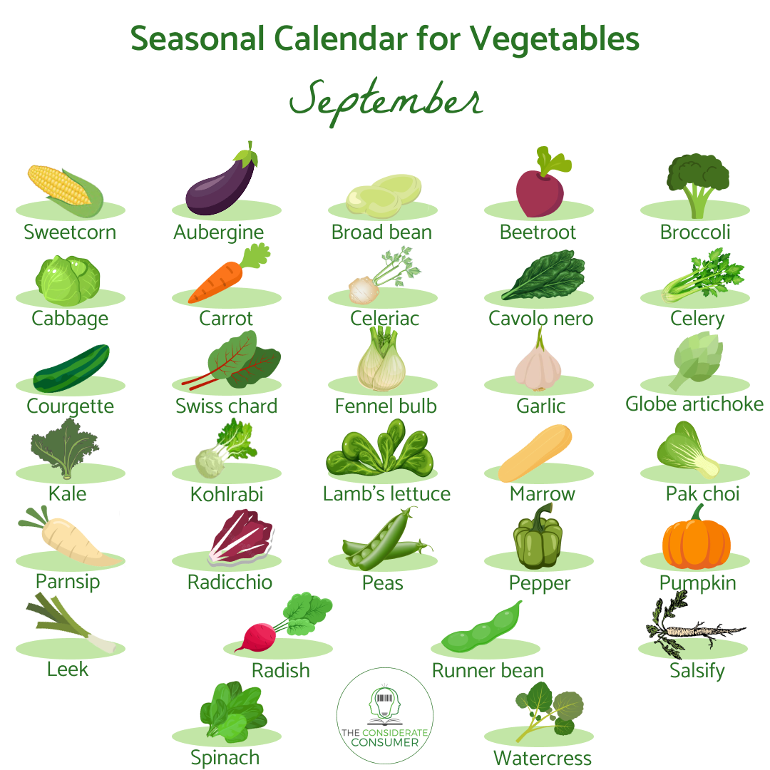 Seasonal calendar  for vegetables September.png