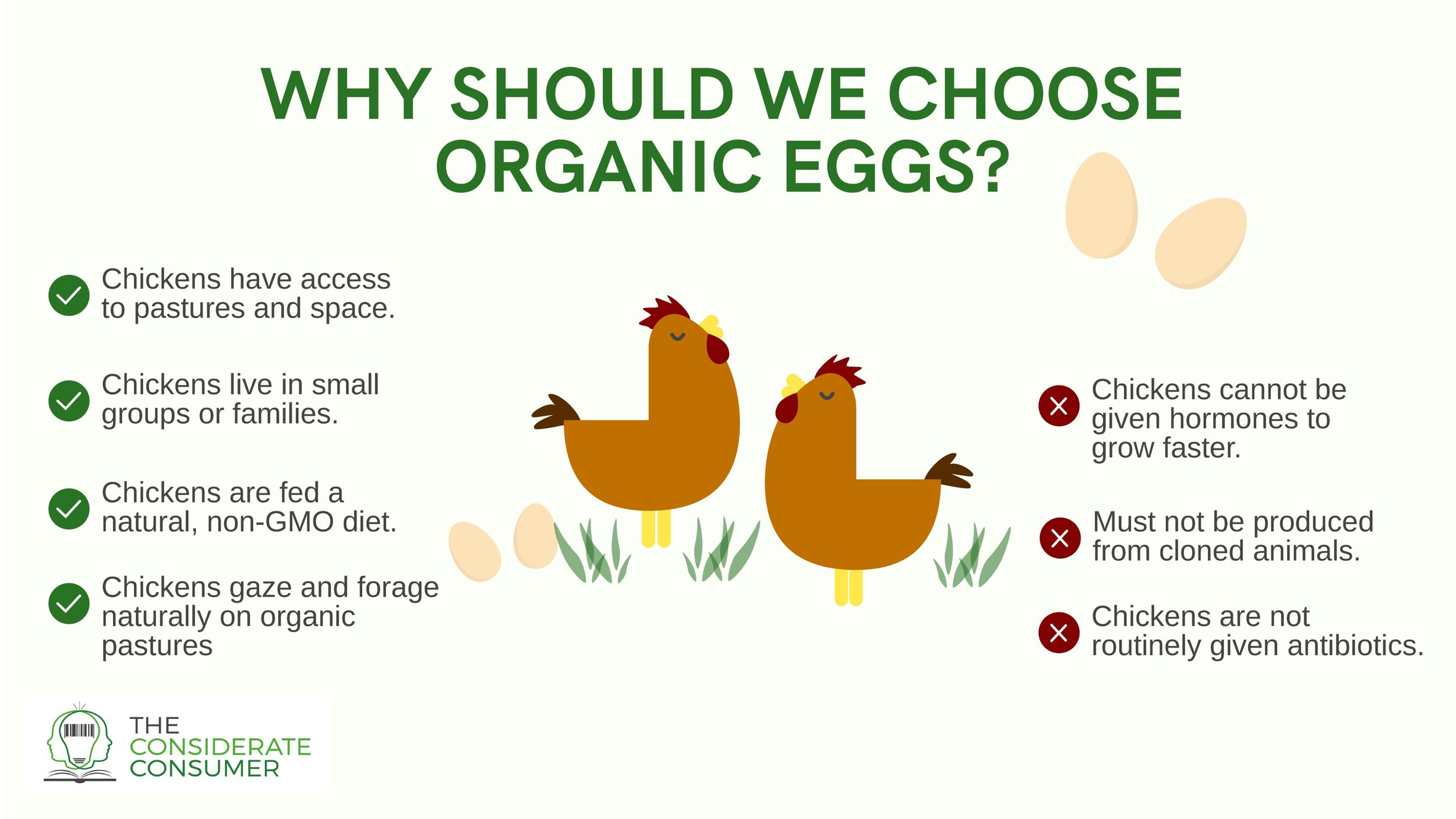 organic-eggs.jpg