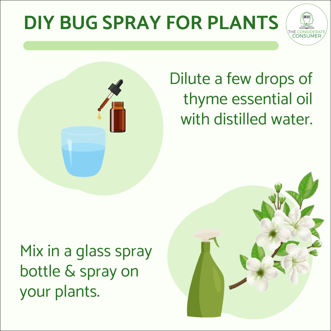 View of Nature's Strongest and Easiest Fertilizer and Insecticide