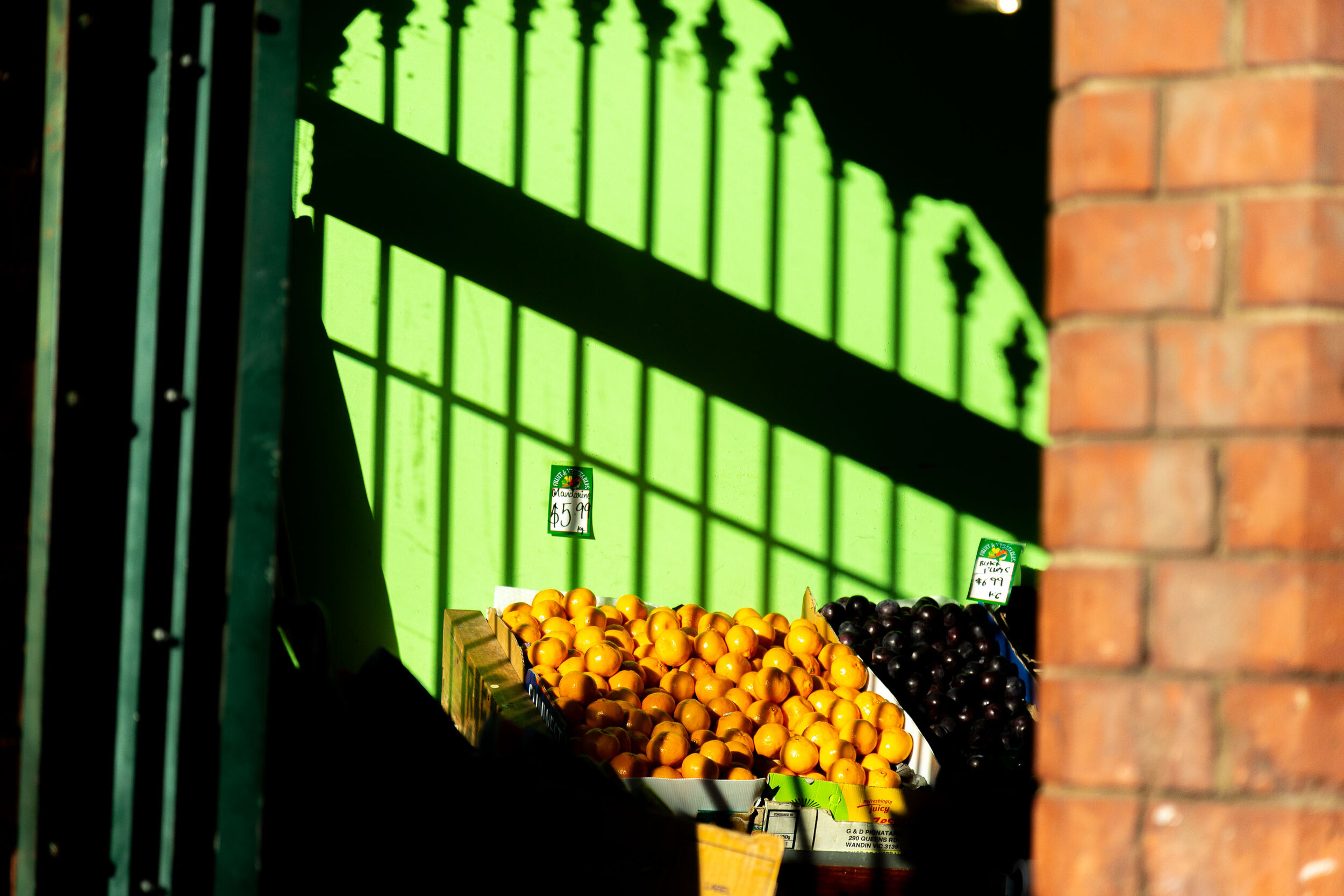 JForsyth_Portraits of isolation0322.jpg