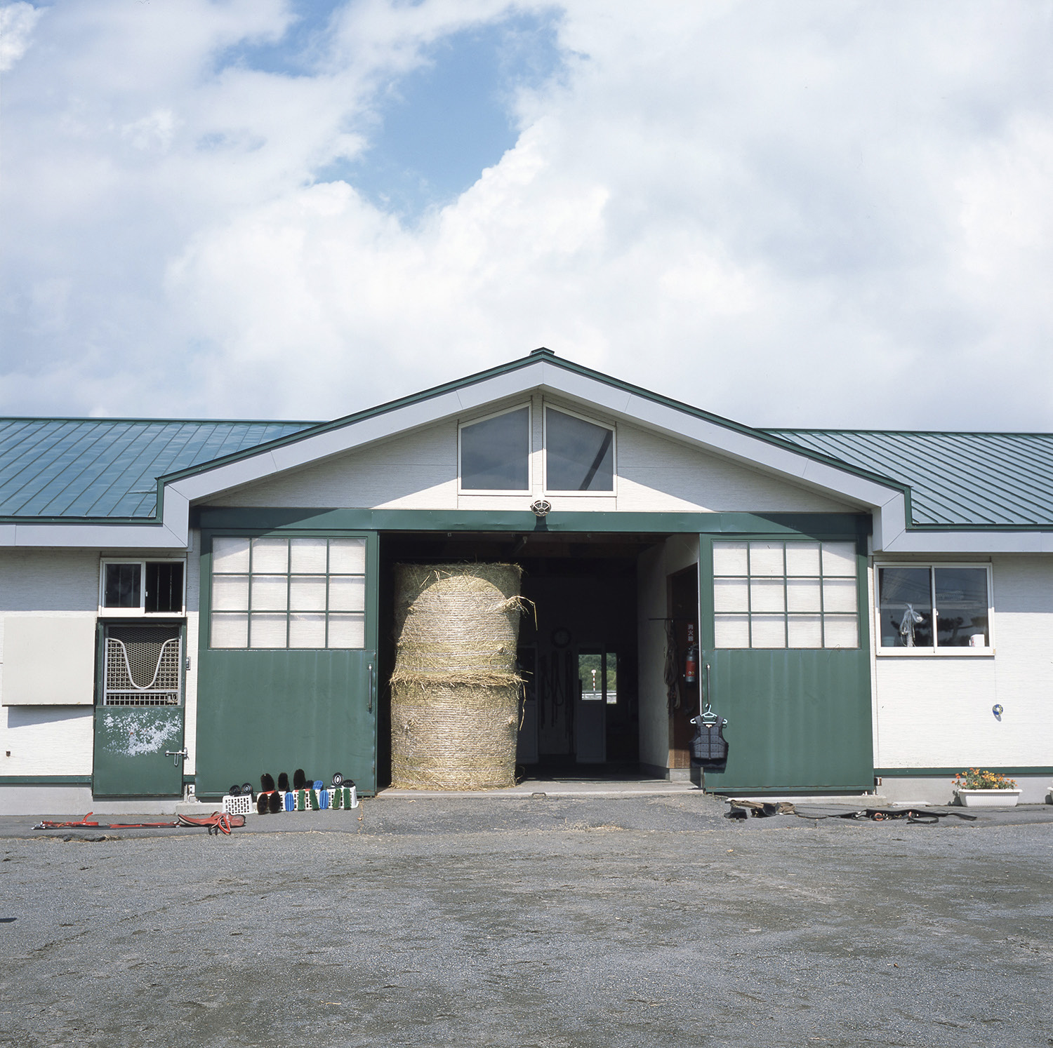 Paca Paca Farm, Hidaka, Hokkaido, Japan, 2017.