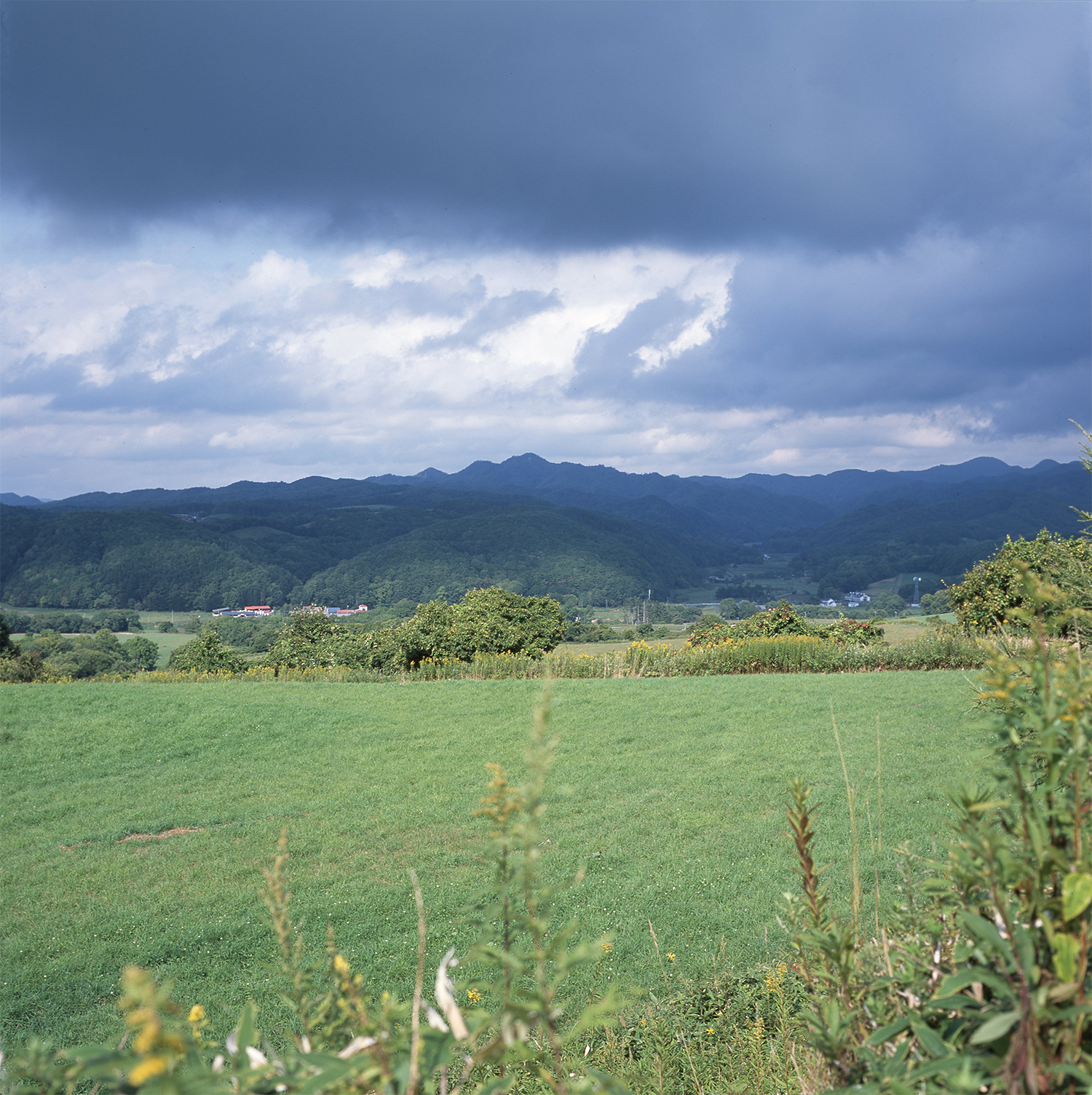 Paca Paca Farm, Hidaka, Hokkaido, Japan, 2017.