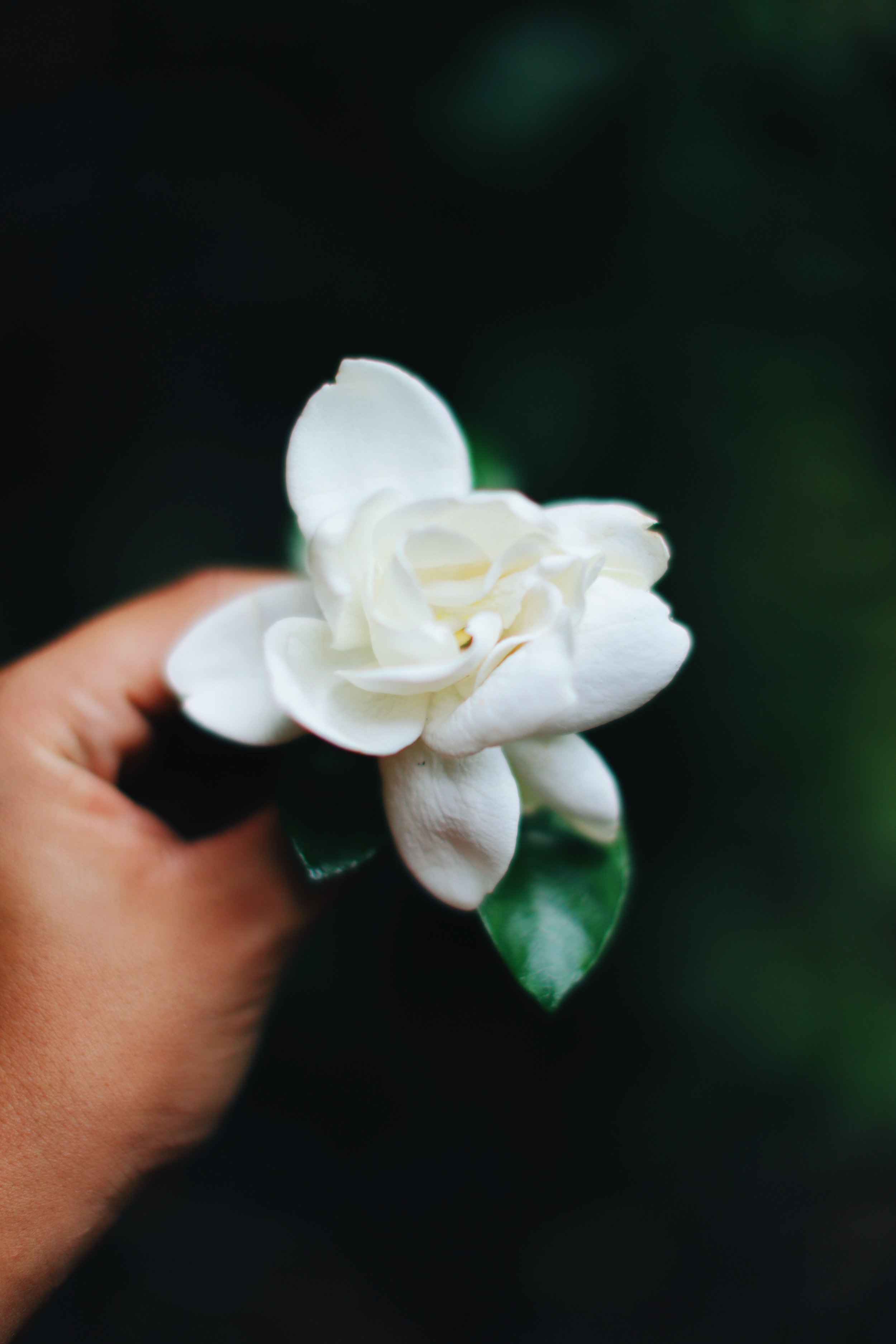 FA50E971-548C-4A50-9DF9-5E6508CFCFE4.jpg