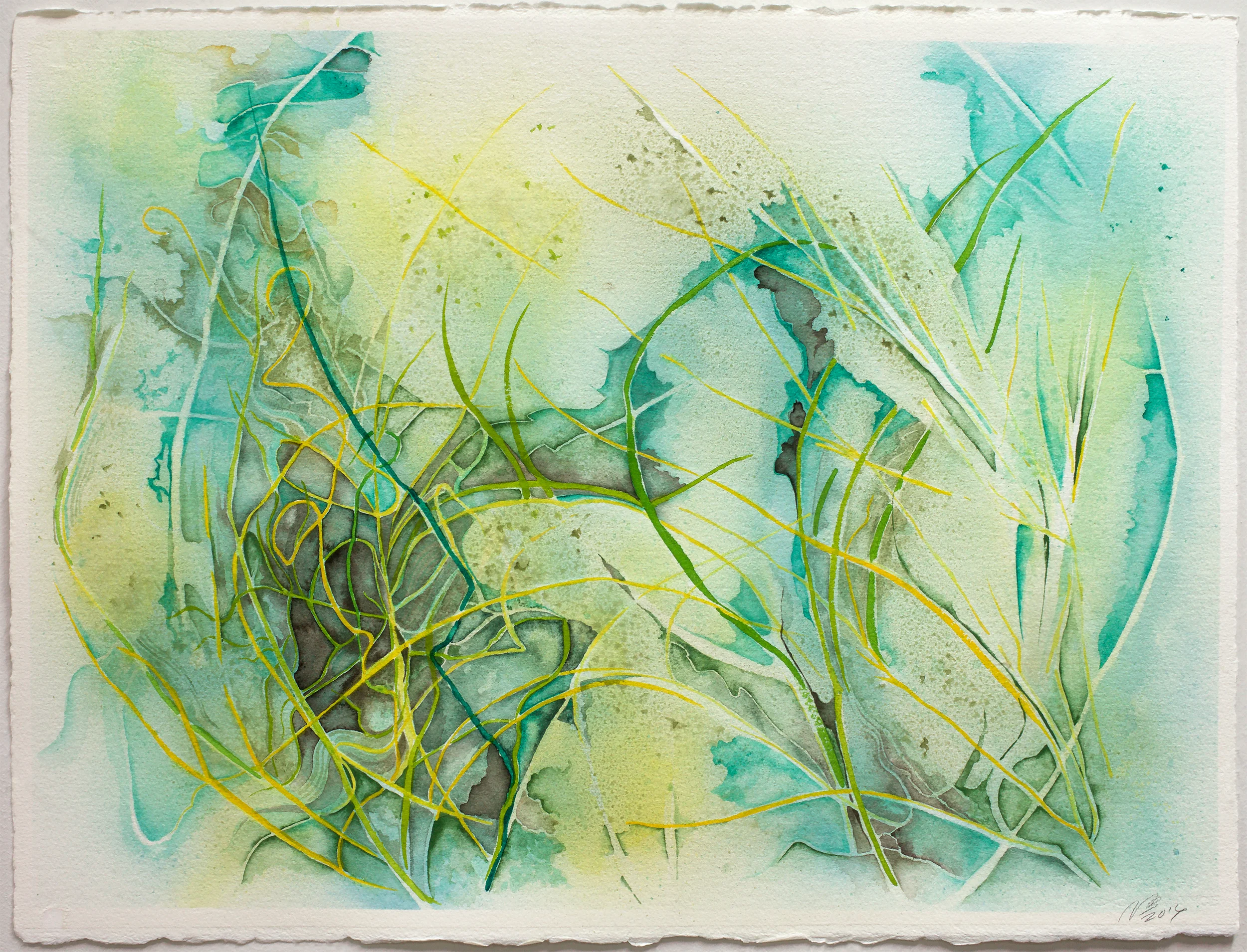 Past the Water Plants