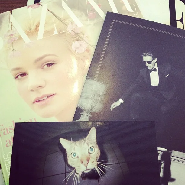 Weekend: boekskes, topinvitatie van Café Costume Kortrijk en een foto van een kat die na de flash van mijn Fisheye eventjes serieus van de wereld was&hellip;