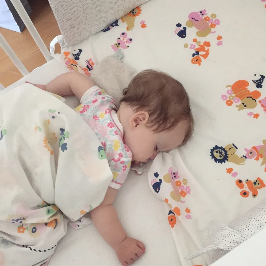 WAT IN DE BABYHANDLEIDING ZOU MOETEN STAAN