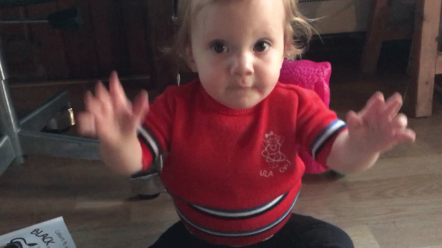 IMG_8403-ANIMATION.gif