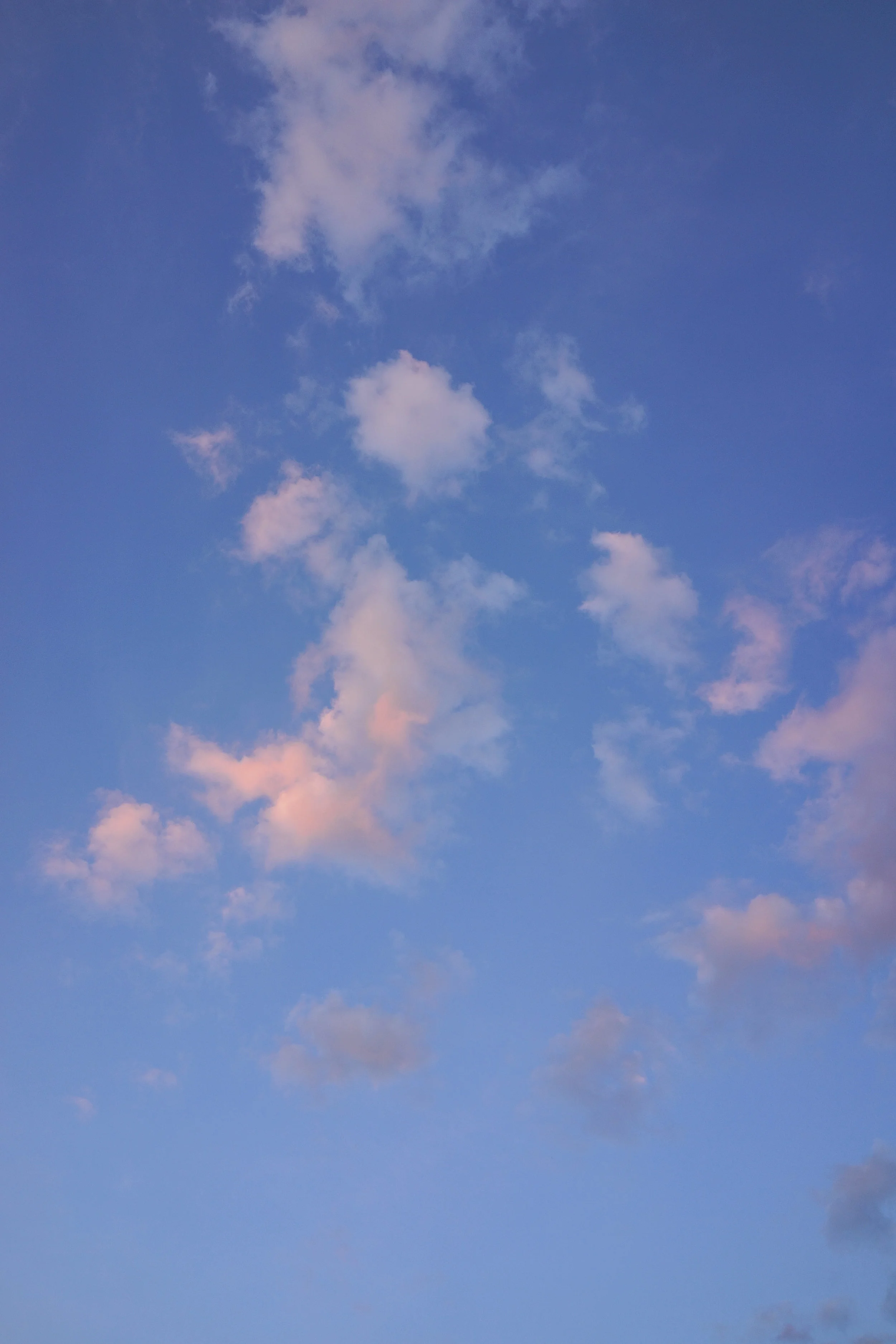 DSC02110.jpg