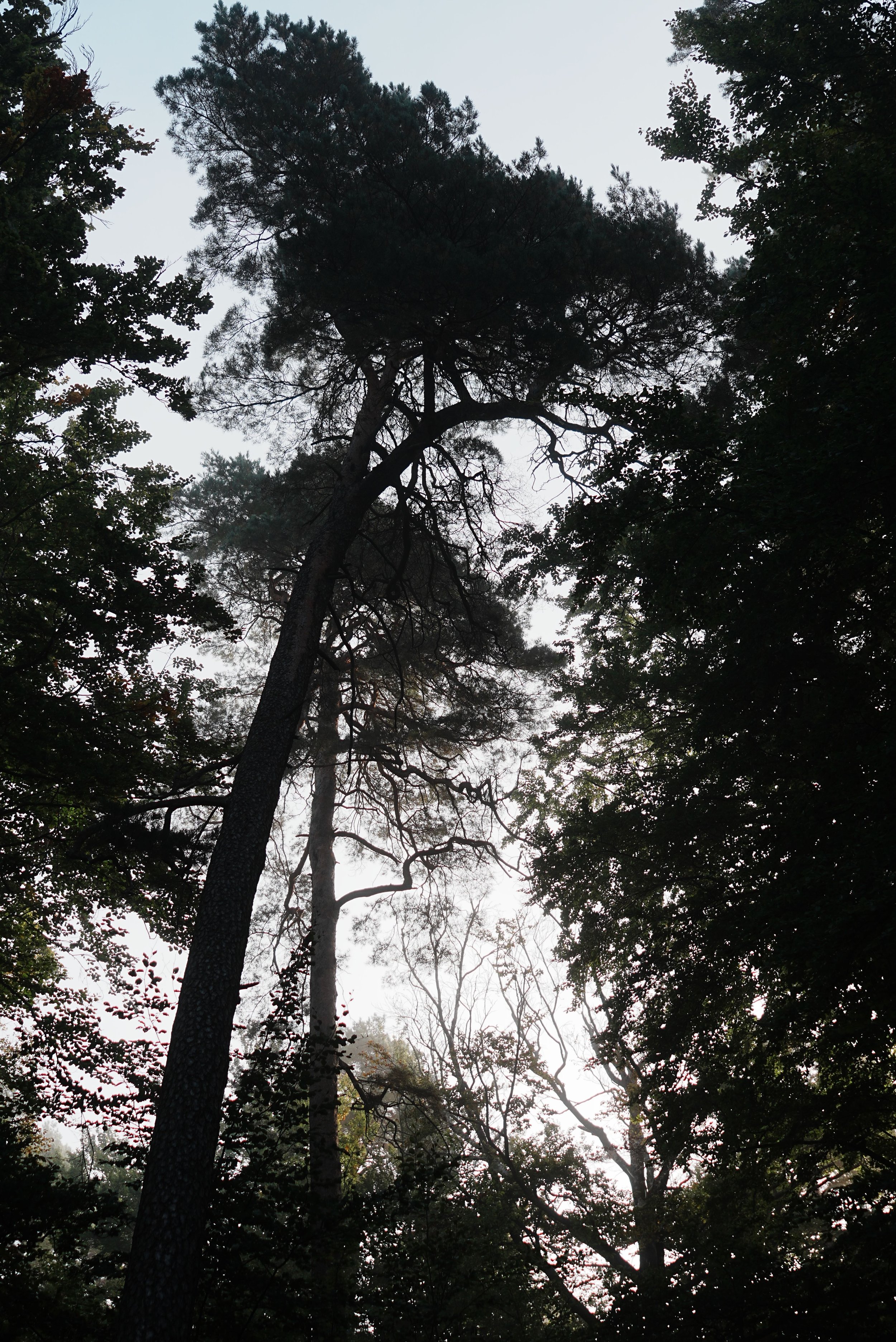 DSC02309.jpeg