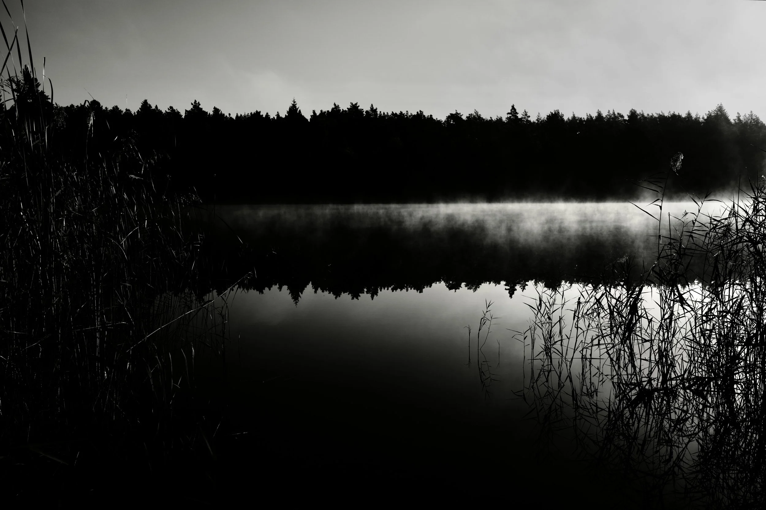 DSC02341.jpeg