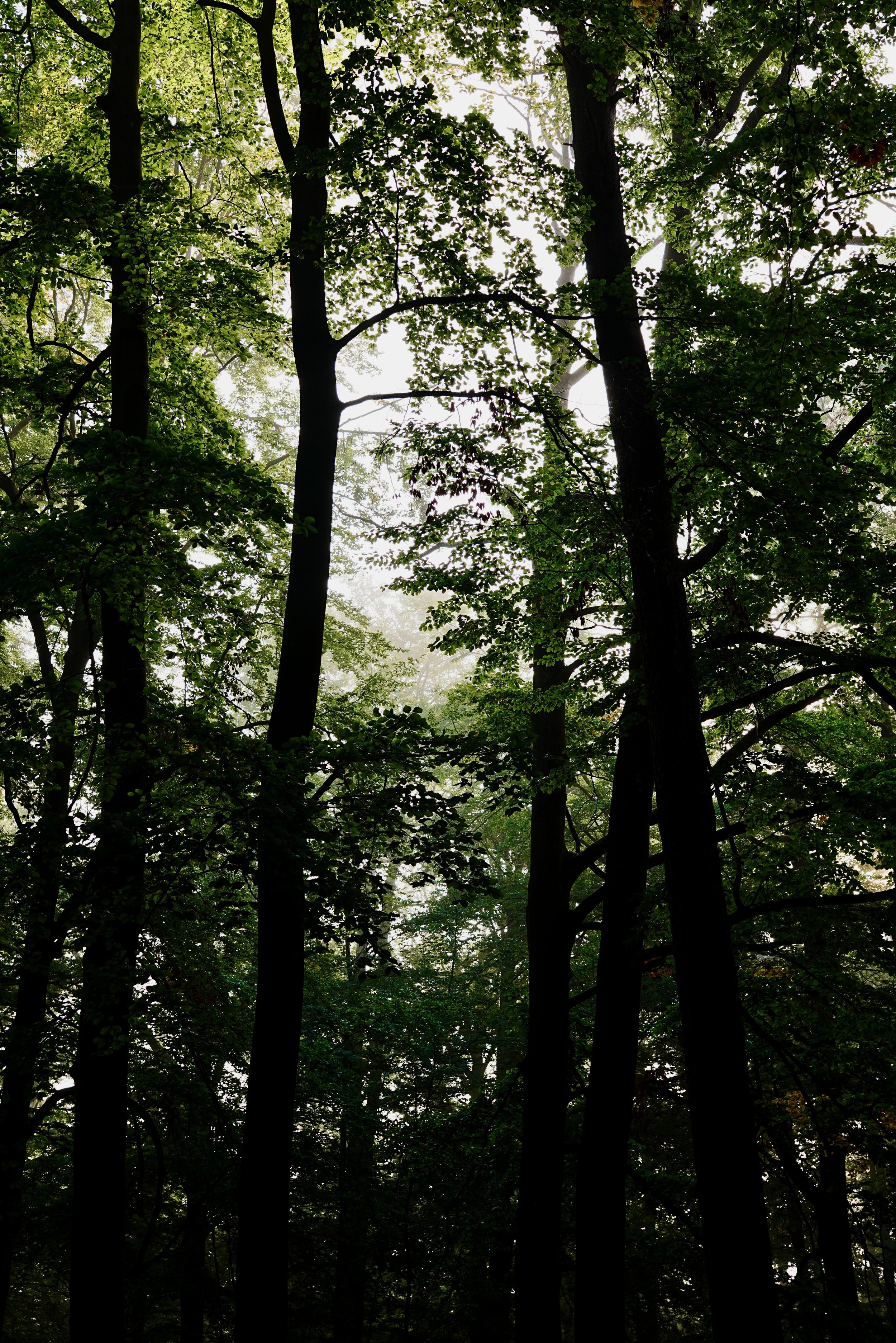 DSC02308.jpeg