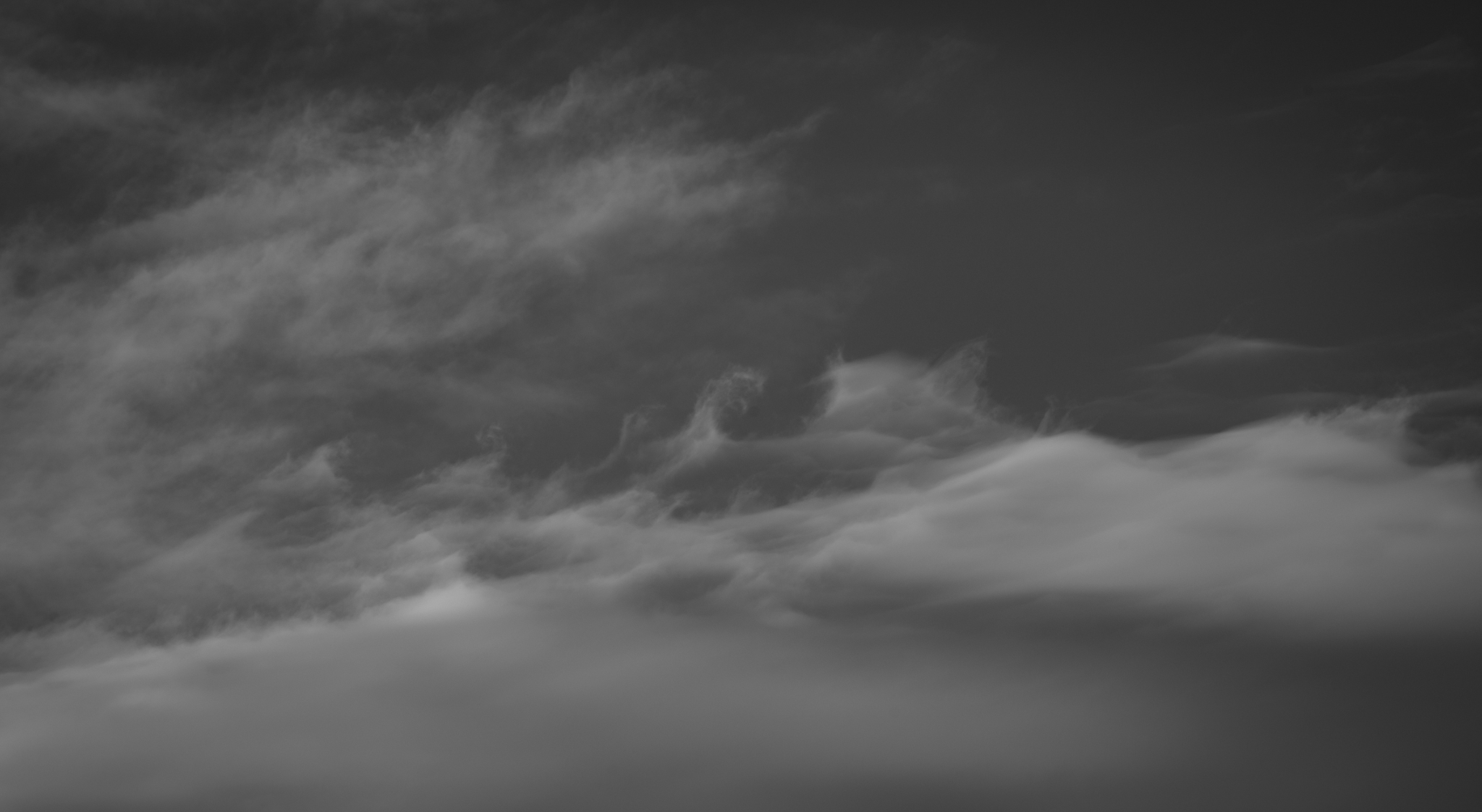  Backwash