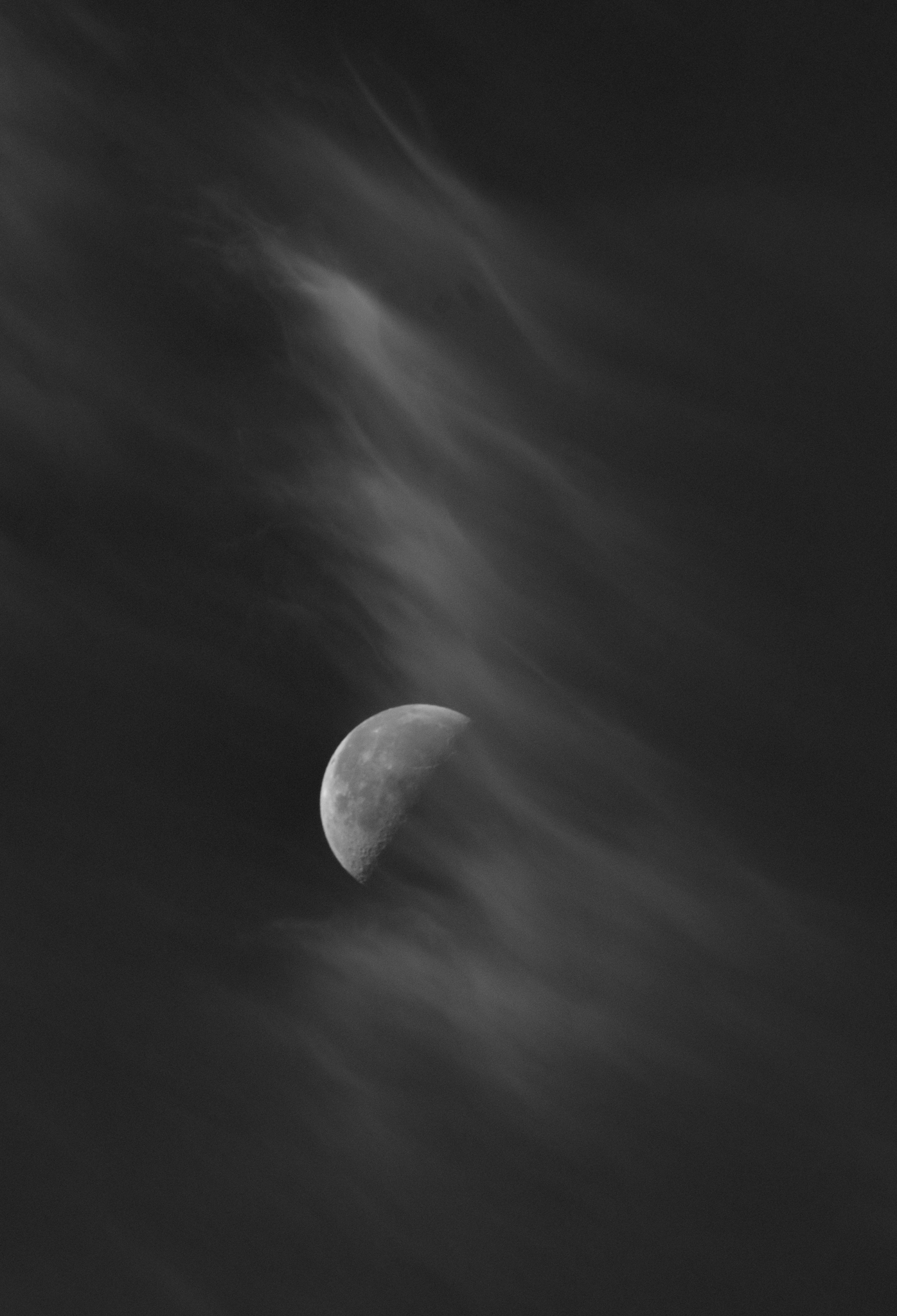  Jellymoon
