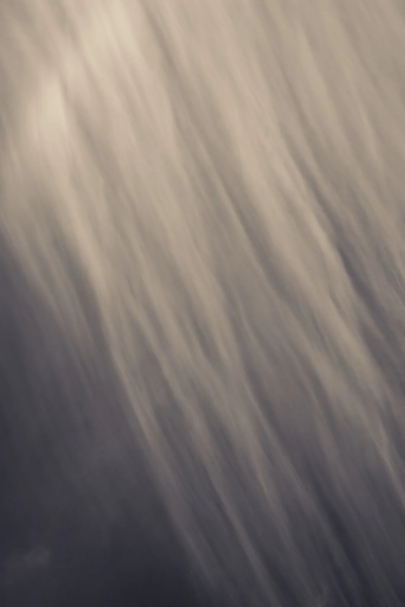  Baleen