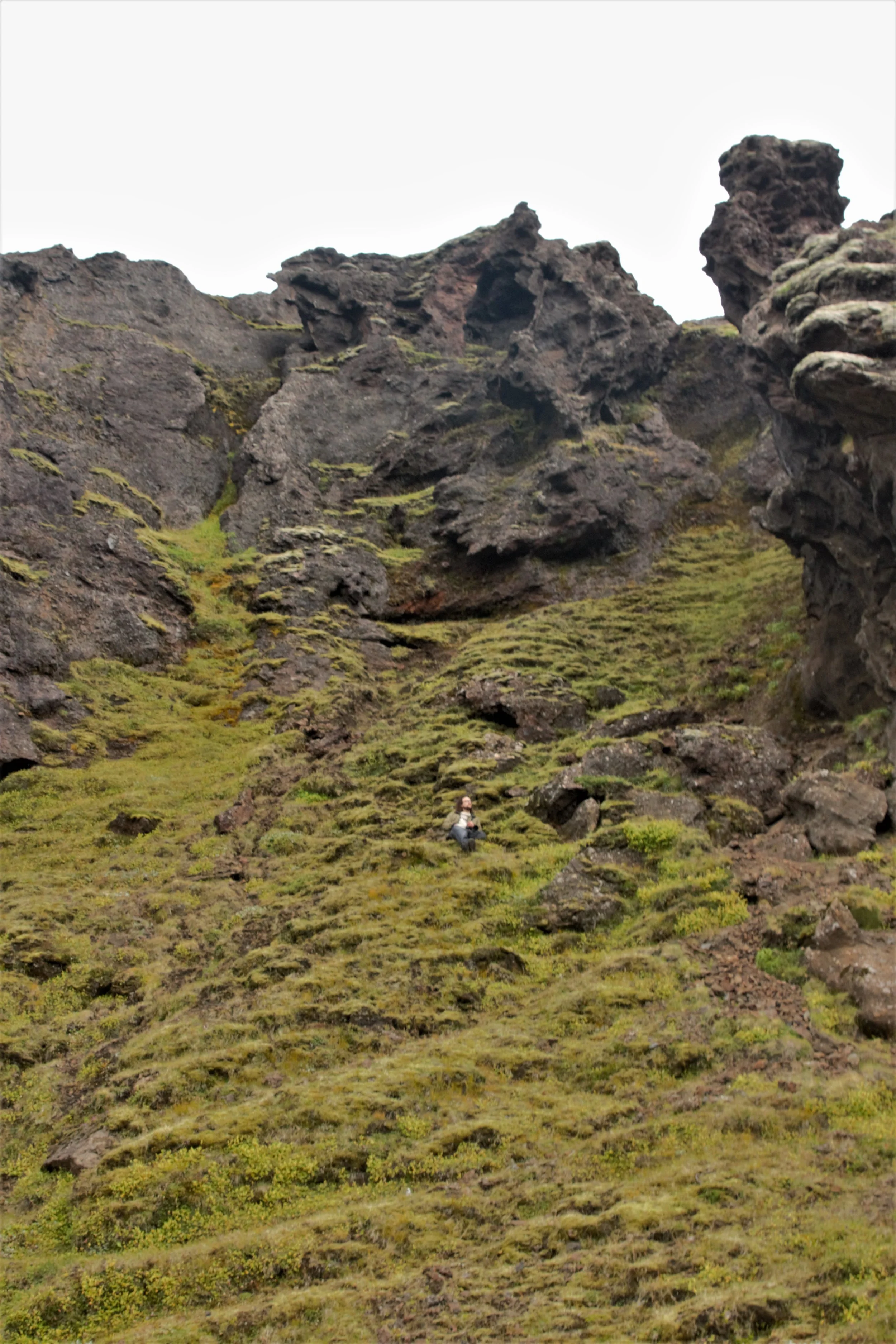 Donal taking a break to admire all the neature.
