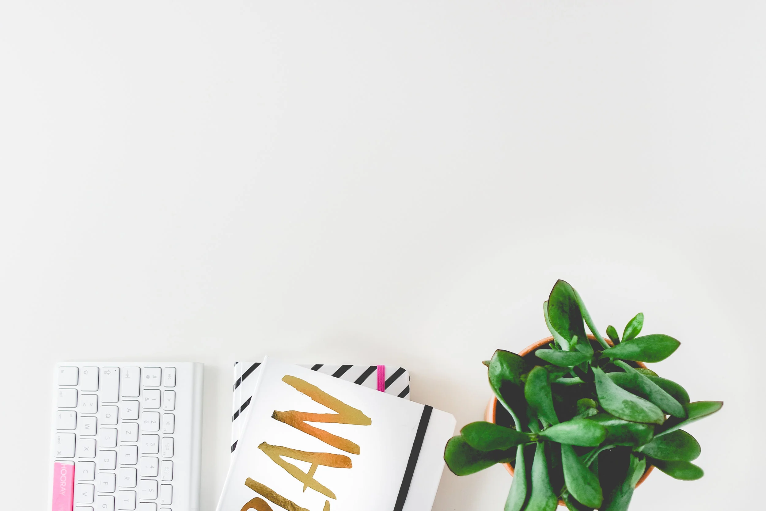 scene-coupee-plante-clavier-agenda.jpg