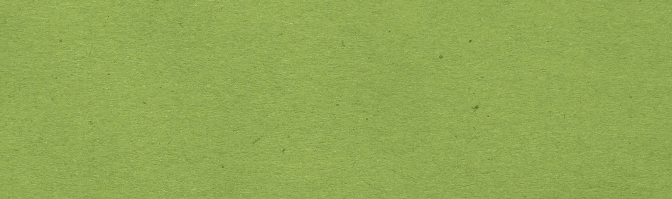 LimeBackground.jpg