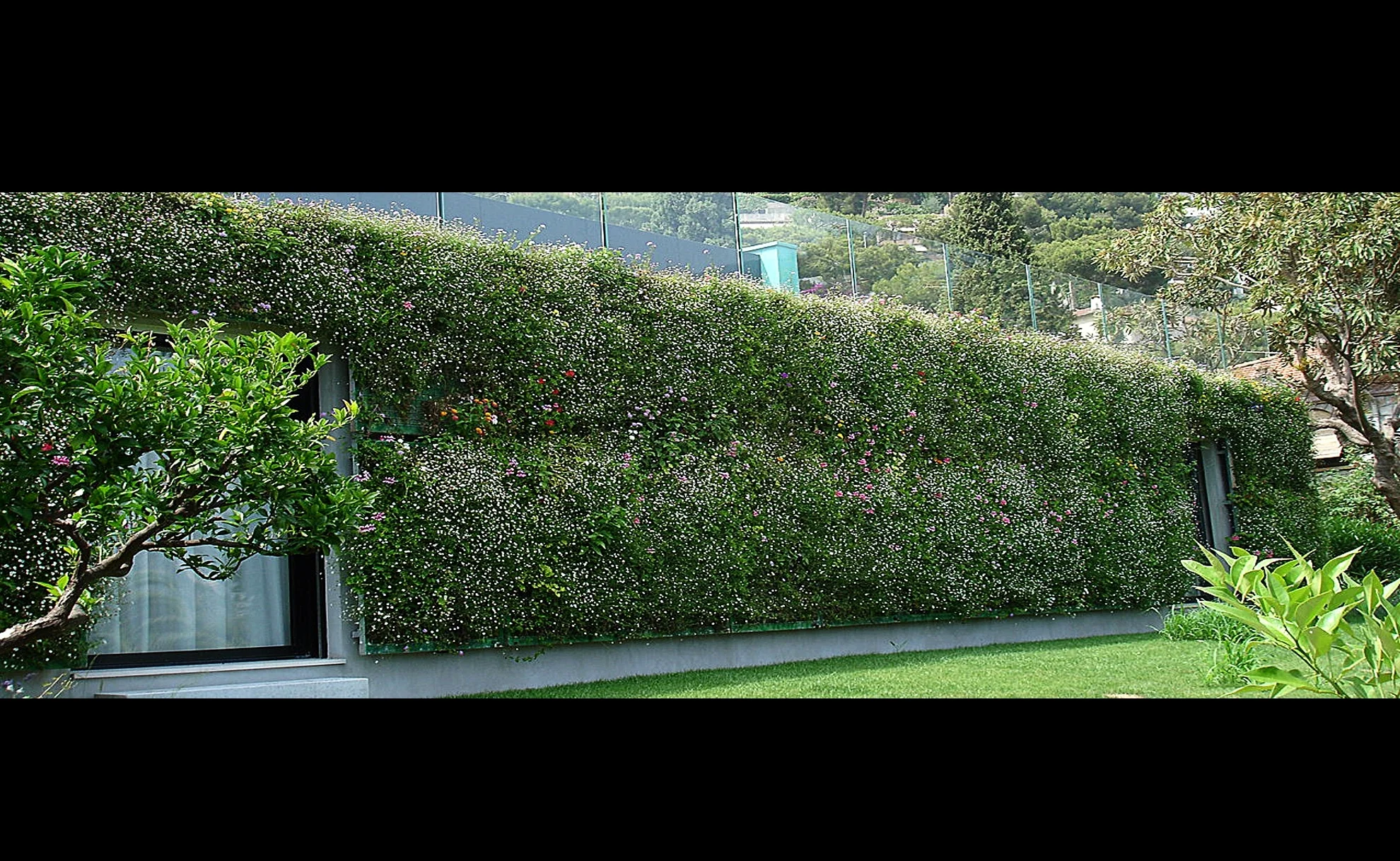 flowers façade.jpg