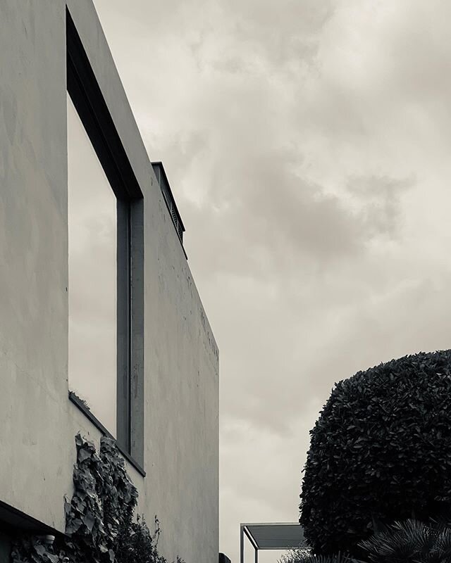 Topiary, Ivy, Jasmin, Chamaerops and the occasional &laquo;&nbsp;sky reflection in the window&nbsp;&raquo; thing on any spring afternoon - staying home...:) #stayinghome #architects #architecturelovers #architecturecontemporaine #rivieramodern #refle