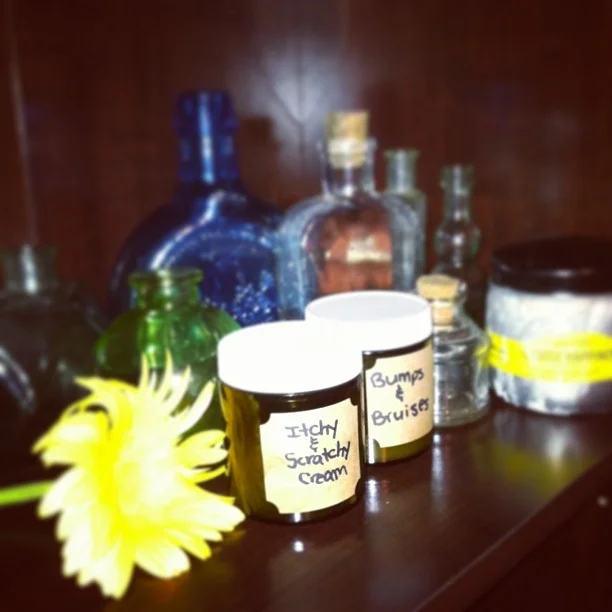 Halcyon's Nest Salves