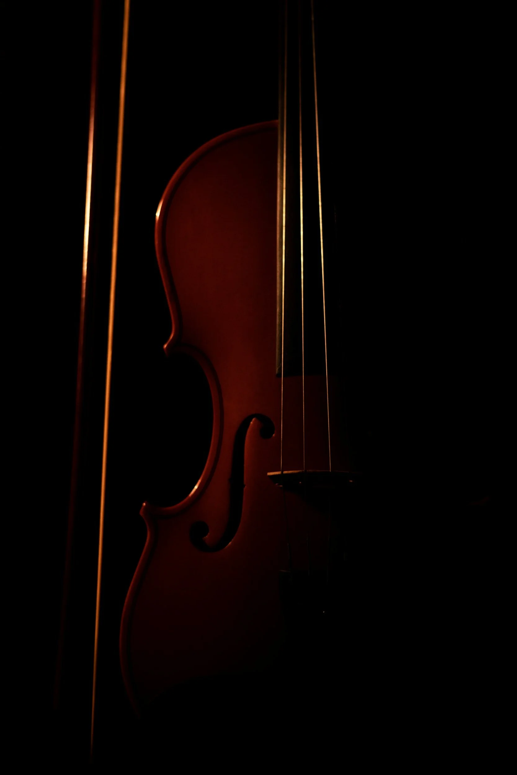 Danzon: Romance and Elegance