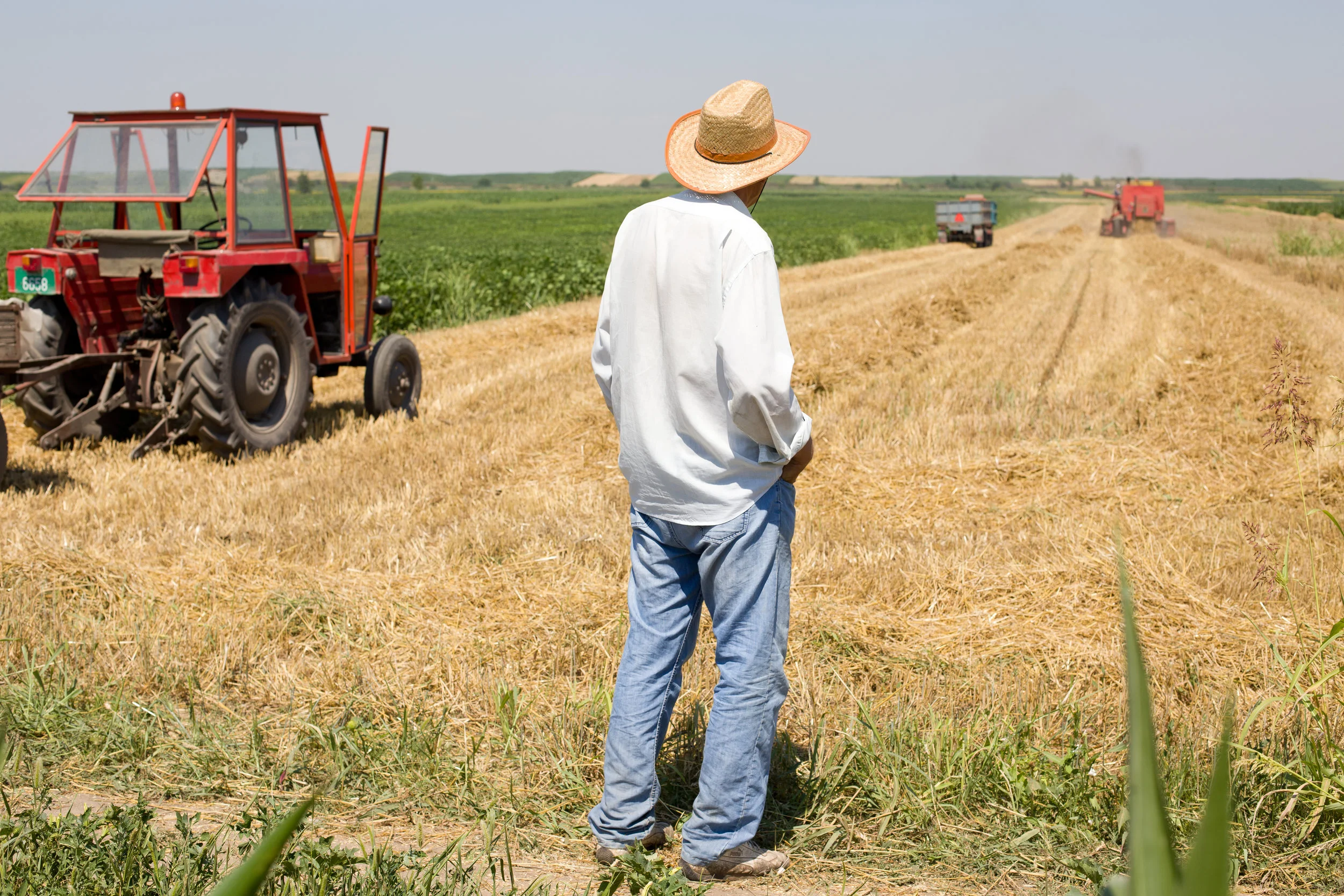 bigstock-Peasant-Standing-In-The-Field-98353982.jpg