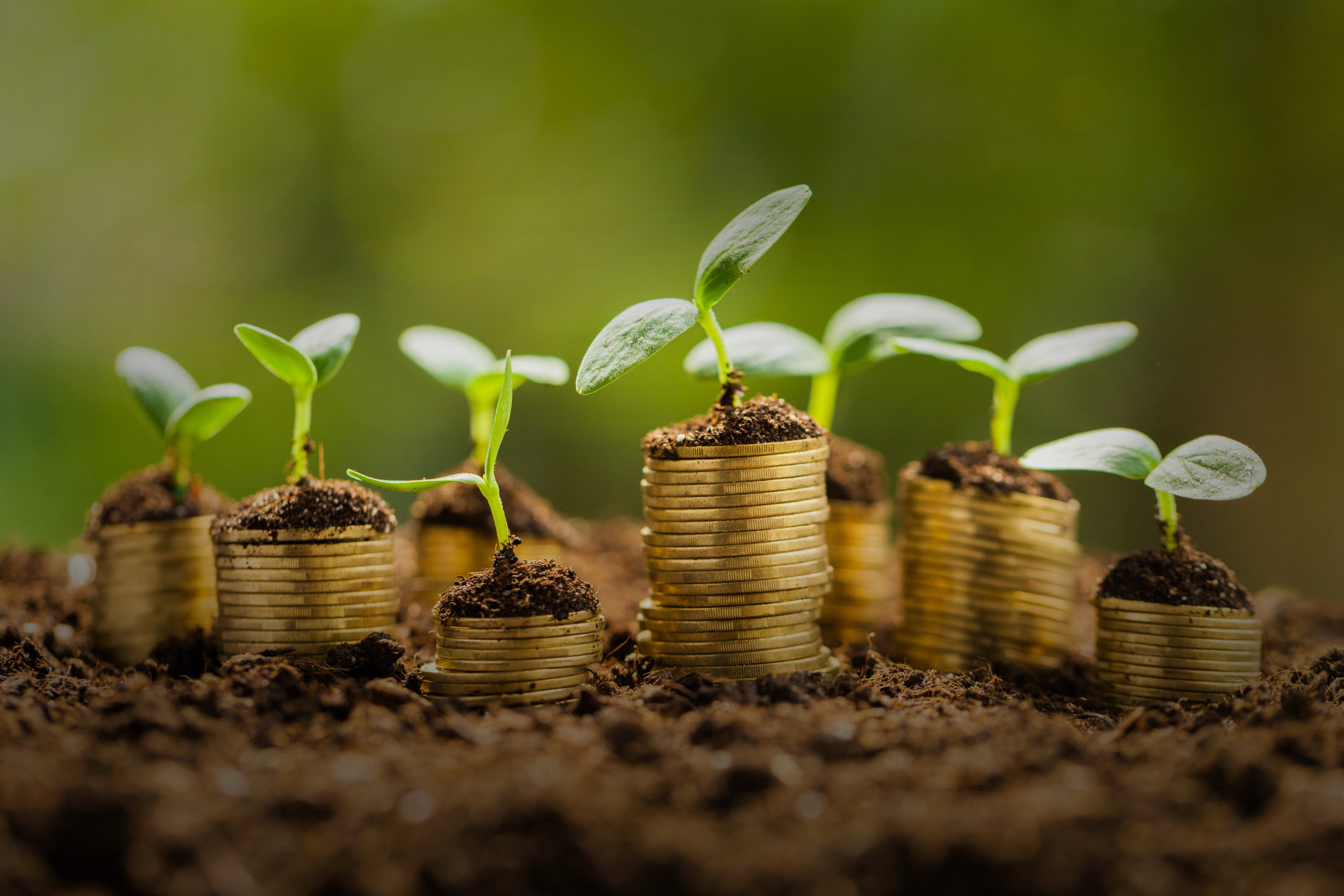 Plants-Growing-out-of-Coins.jpeg