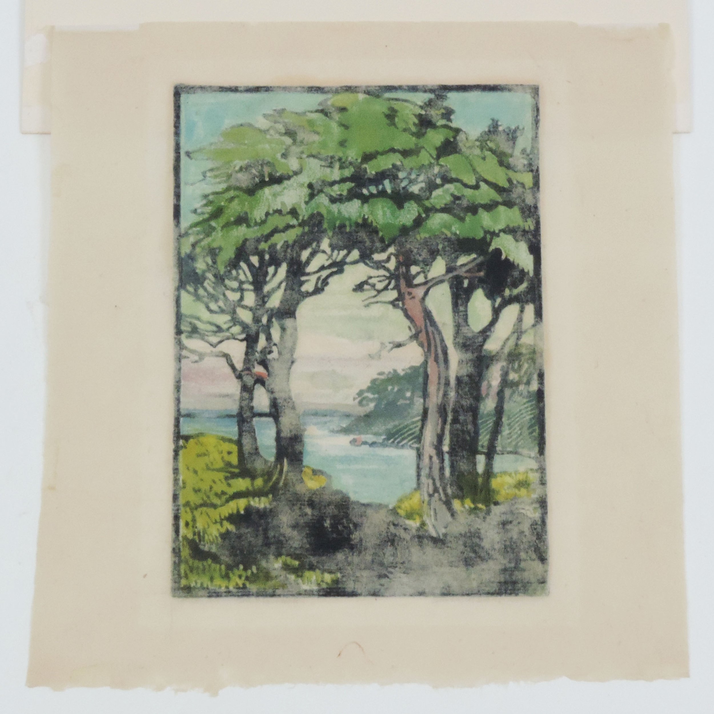 Frances-Gearhart-Monterey-Cypresses-6-75x9-5in-C.jpg