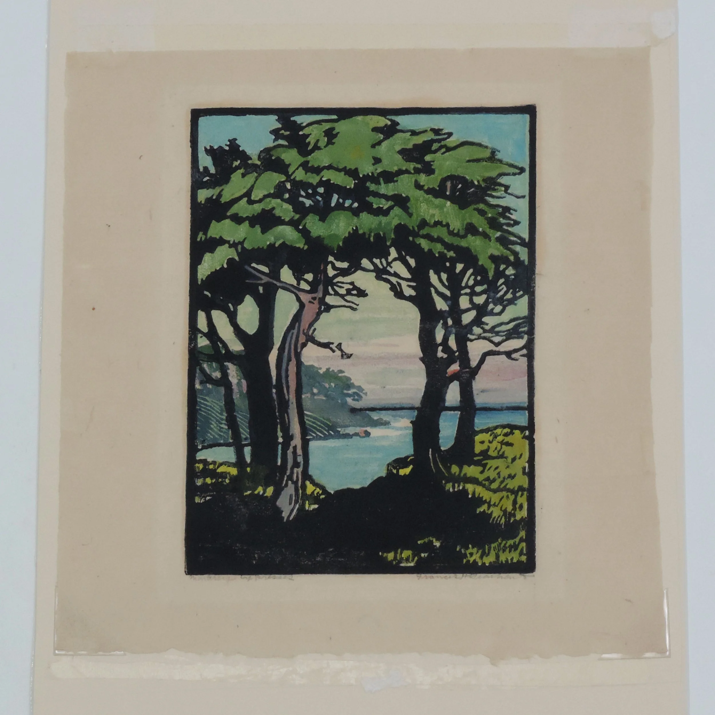 Frances-Gearhart-Monterey-Cypresses-6-75x9-5in-B.jpg