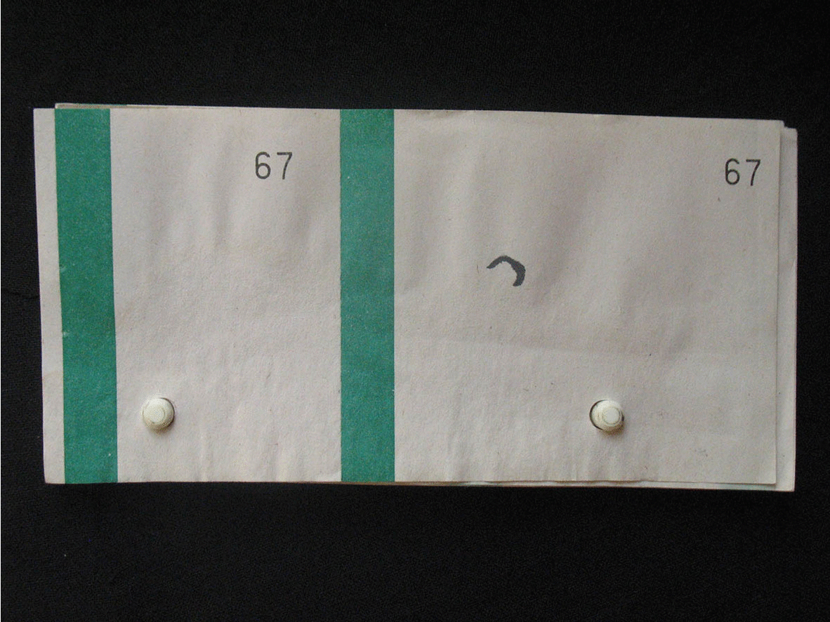 Tombola Vert-extrait.gif