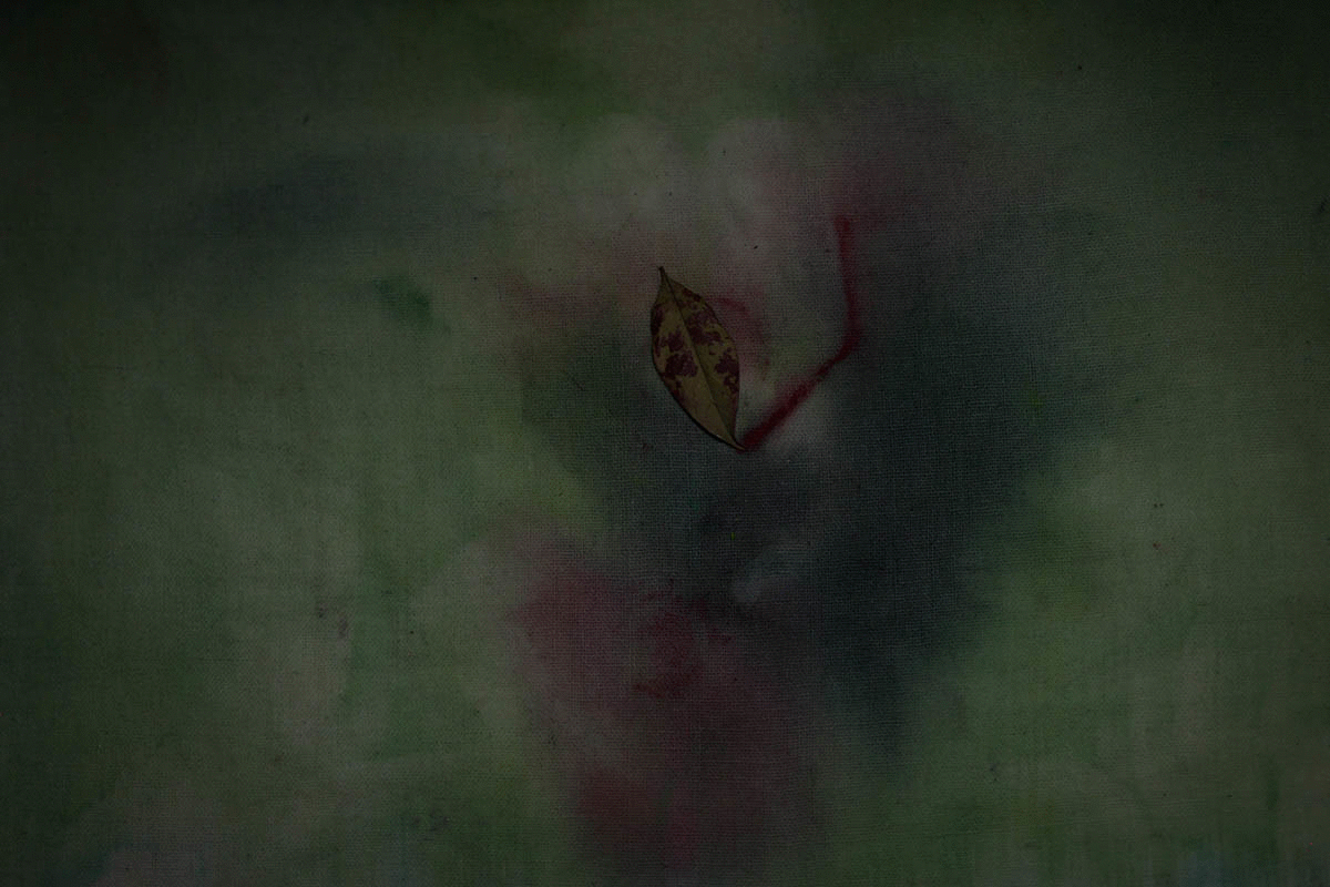 Ma_Esprit_feuilles lierre.gif
