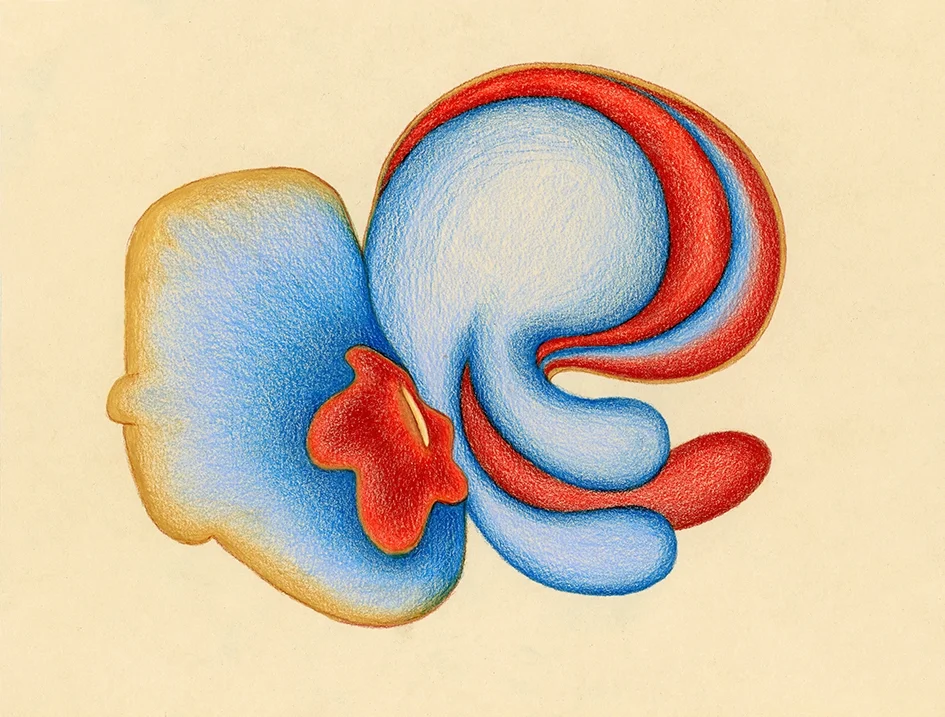 Creatures_Organe fleur ouvert (21x29,5) 2017_s.jpg