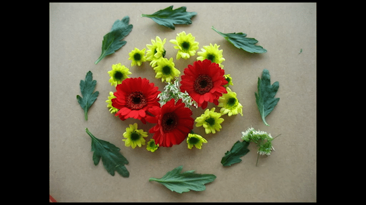 compil (extraits) gestes artistiques 1_Résidence image animée (ARTS)--high(1).gif