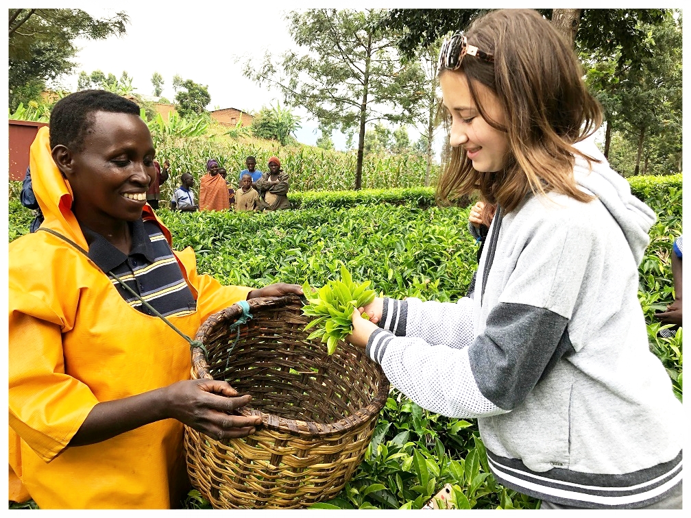Beatrice teaches one of our team members, Leia, how to pluck the best tea leaves for maximum efficiency and quality.