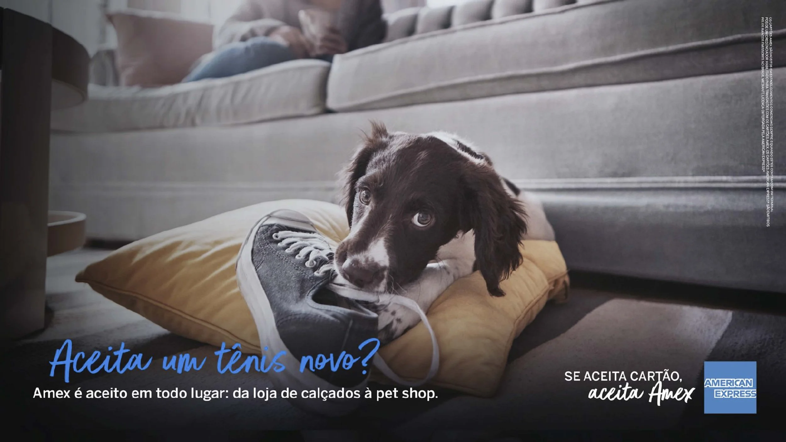 APRE_AMEX_29_4_KVS _POP_Página_22.jpg