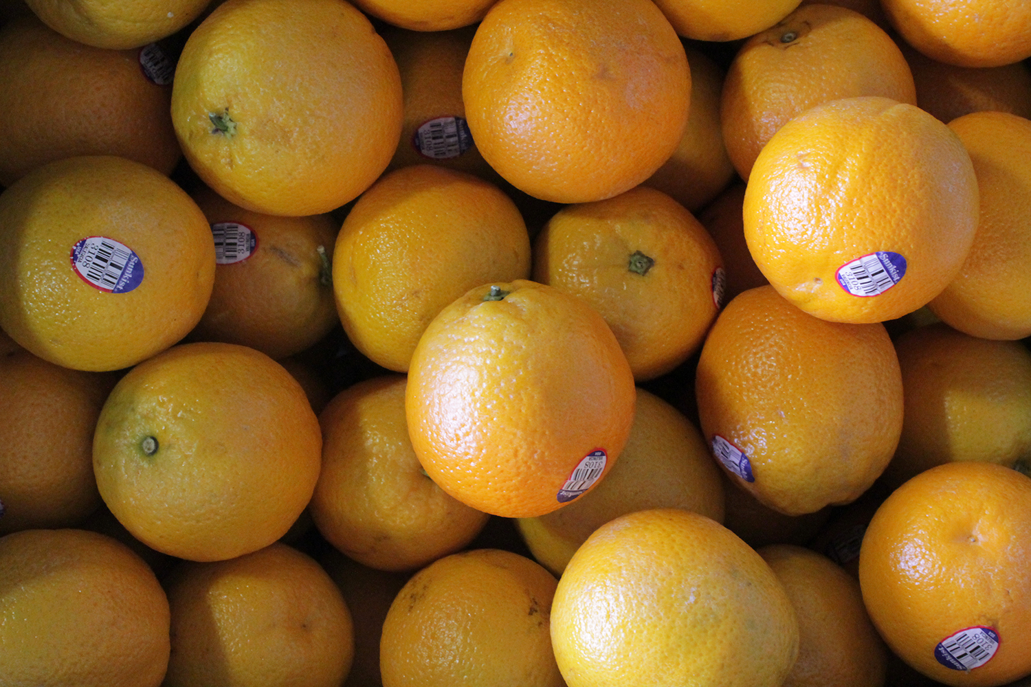 Sunkist oranges sold at Robt. t. Cochran & Co.