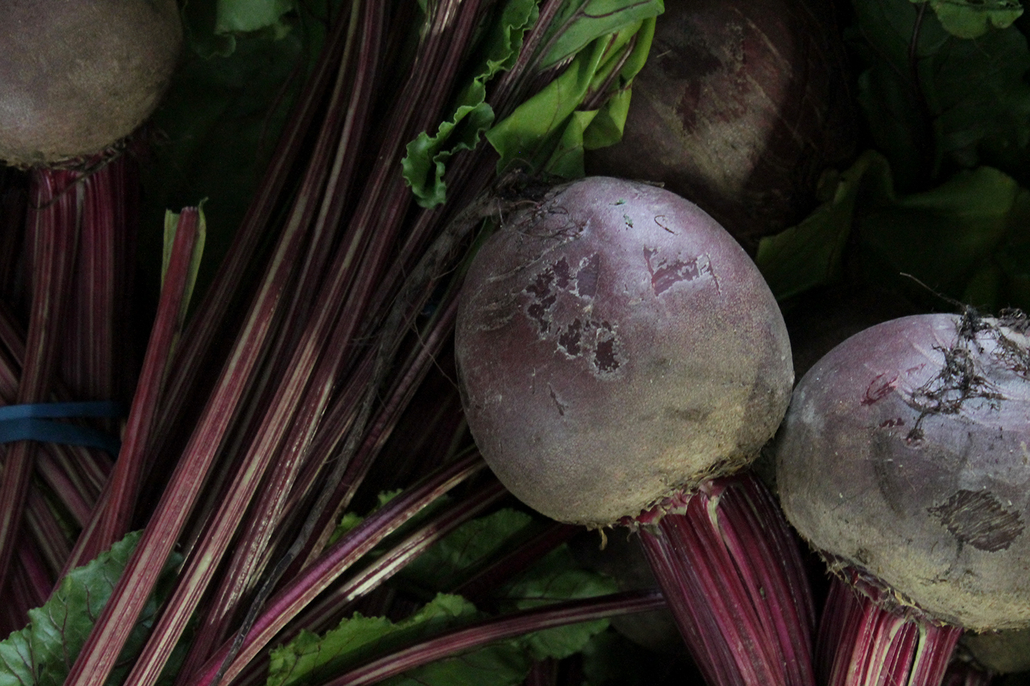 Beets sold at Robt. t. Cochran & Co.