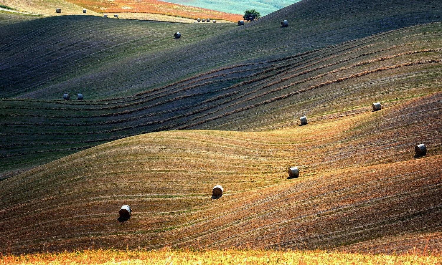 landscapes