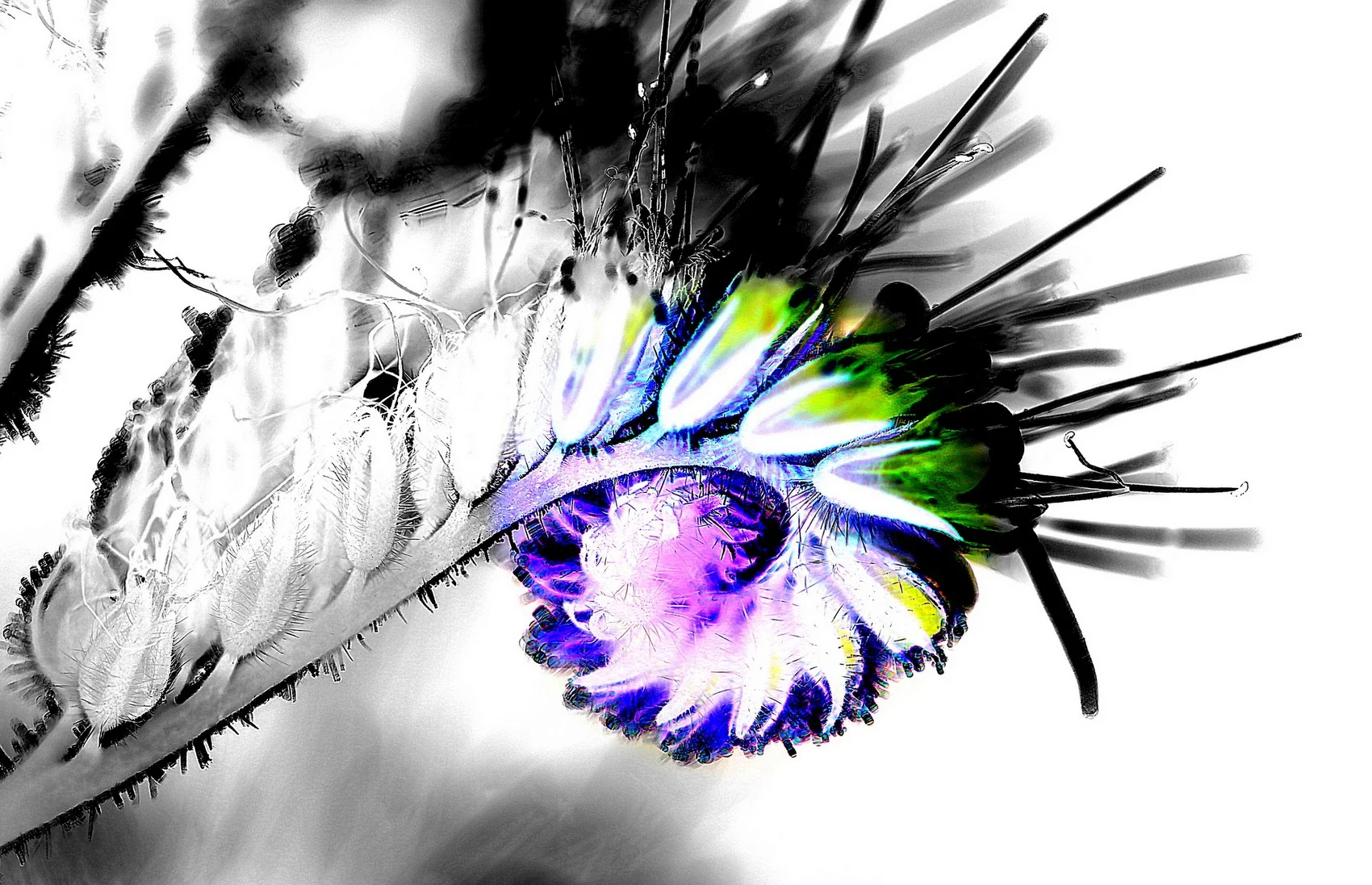 digitally edited