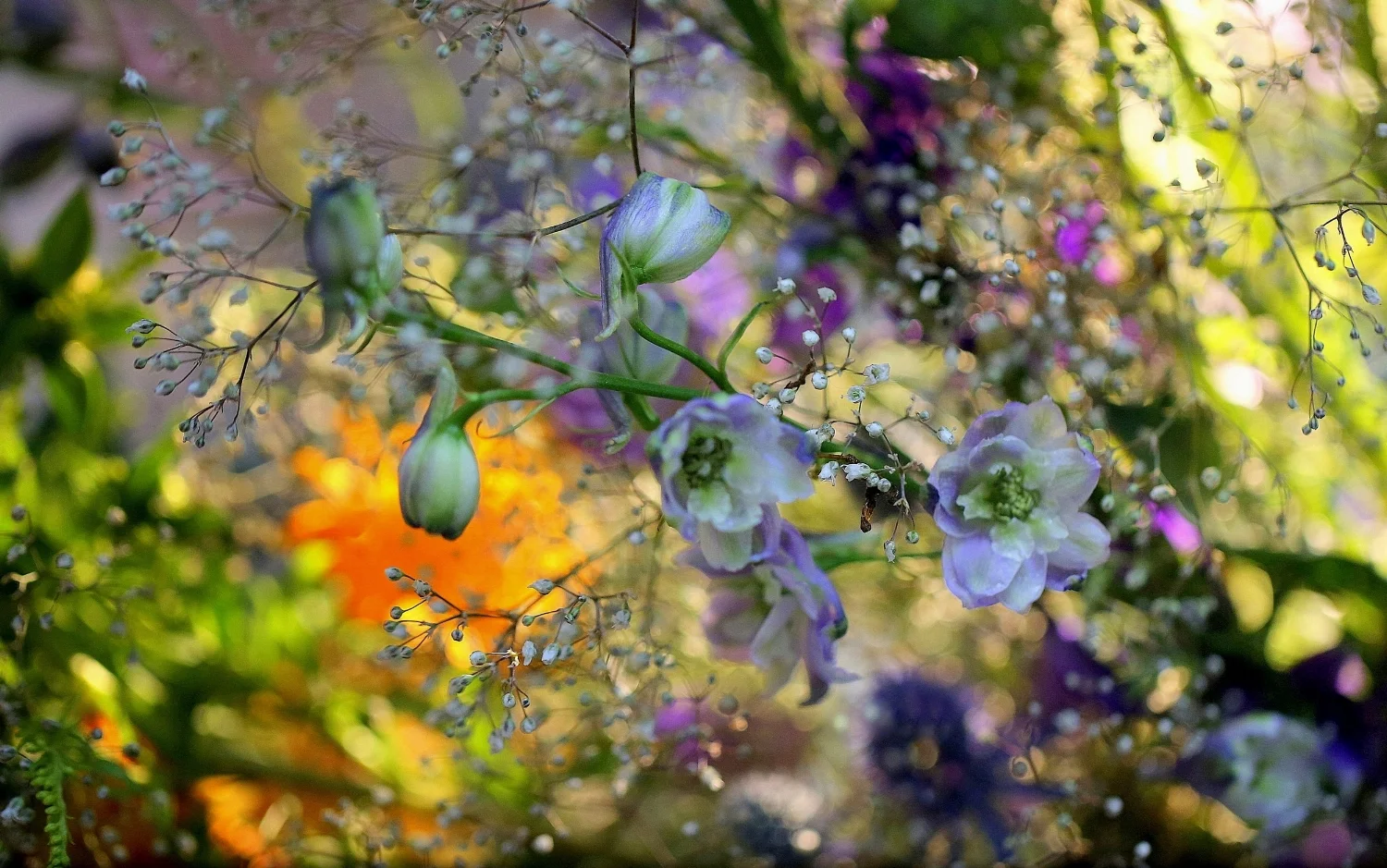 flowers