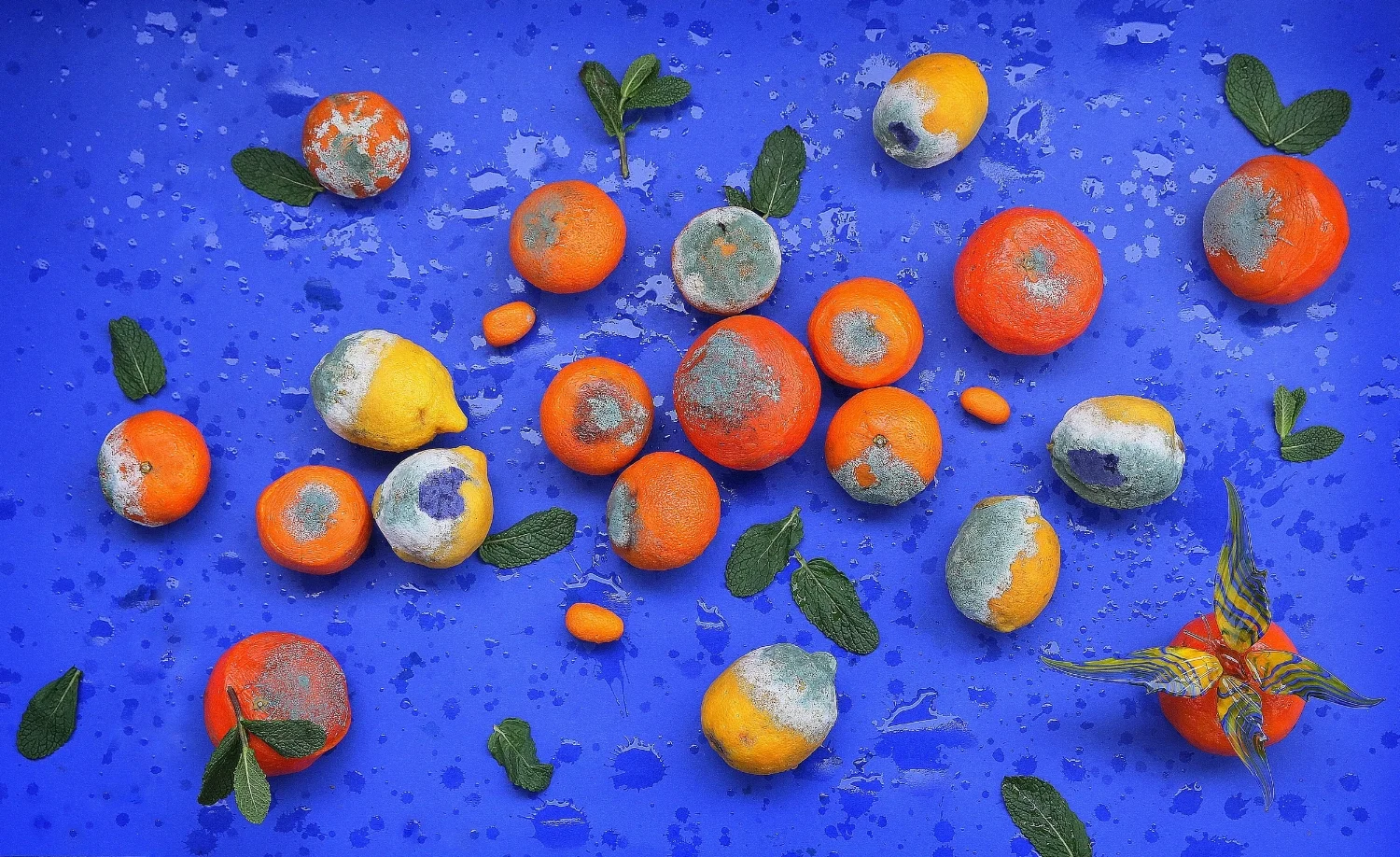oranges