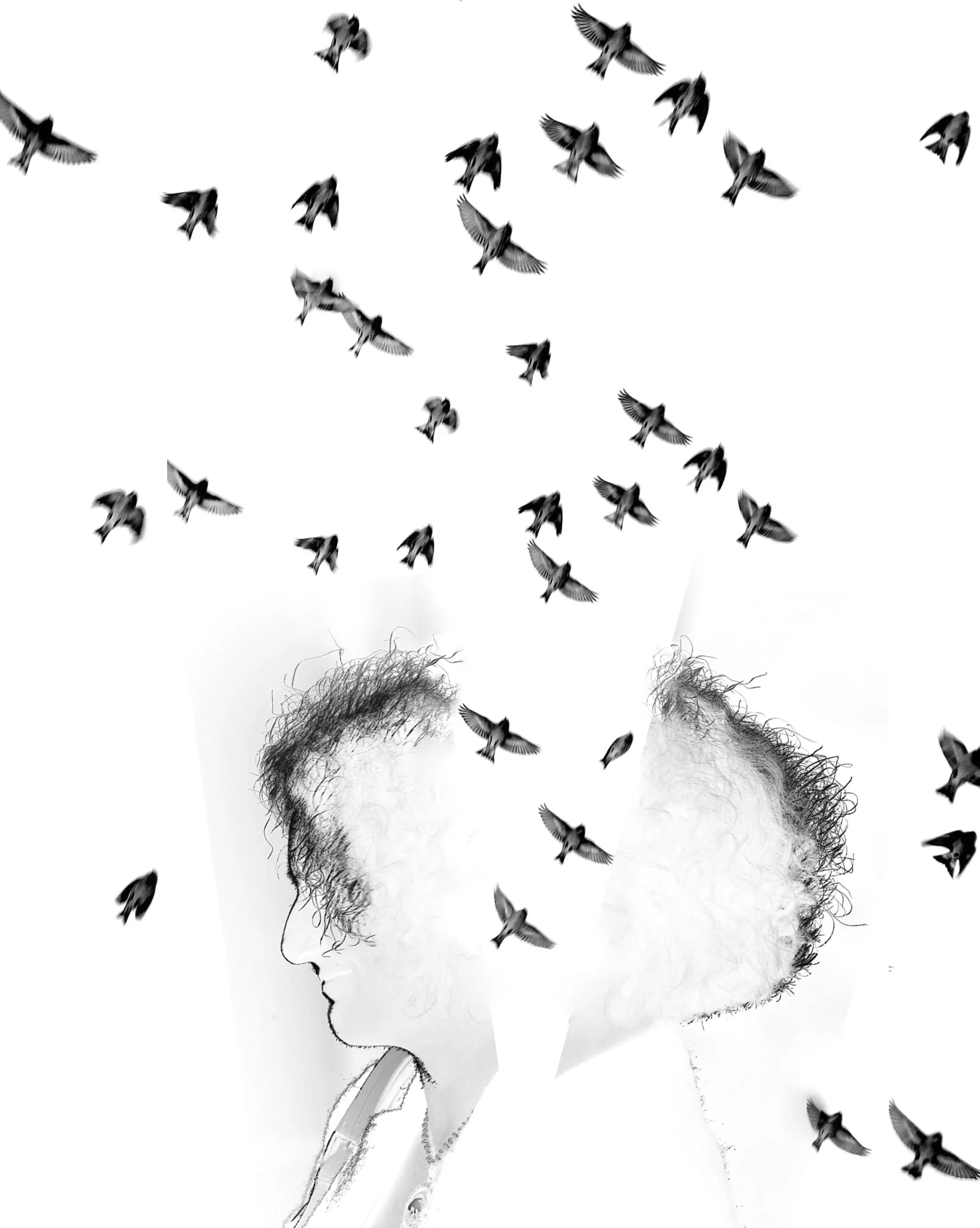 Collages41-001.jpg