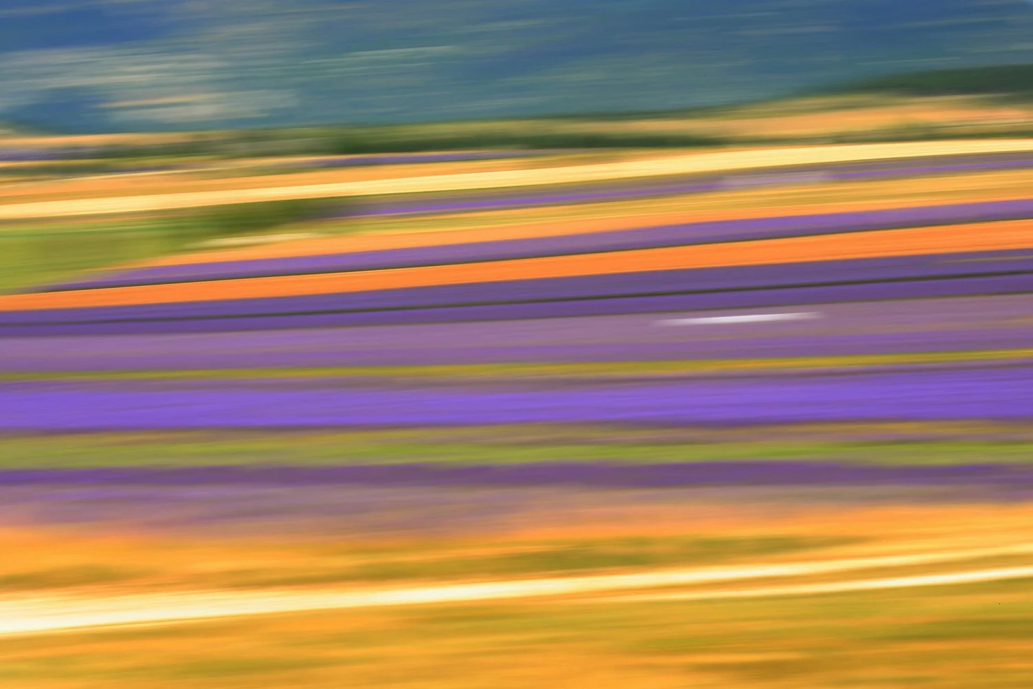 PROVENCE-201210.jpg